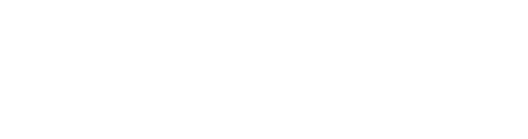 RealCar